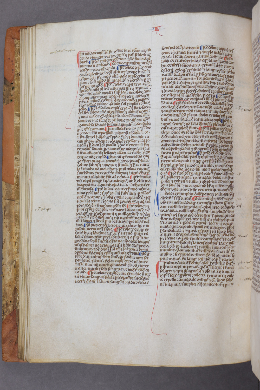Folio 41 verso